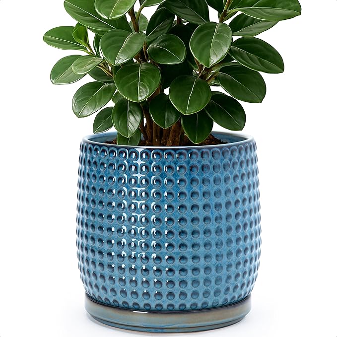 D'vine Dev 8 Inch Ceramic Beaded Stoneware Planter Pot - Flower Pot with Drainage Holes and Saucers for Indoor Succulent Plants or Flowers, Ocean Teal, 27-C-Q-8