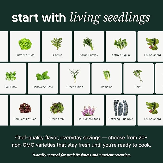 Counterstand Set – Vase Plant for Indoor Edible Garden Kit for Herbs & Lettuce – Small-Space Hydroponic System – Home Decor & Gifting – No Glow Lamp