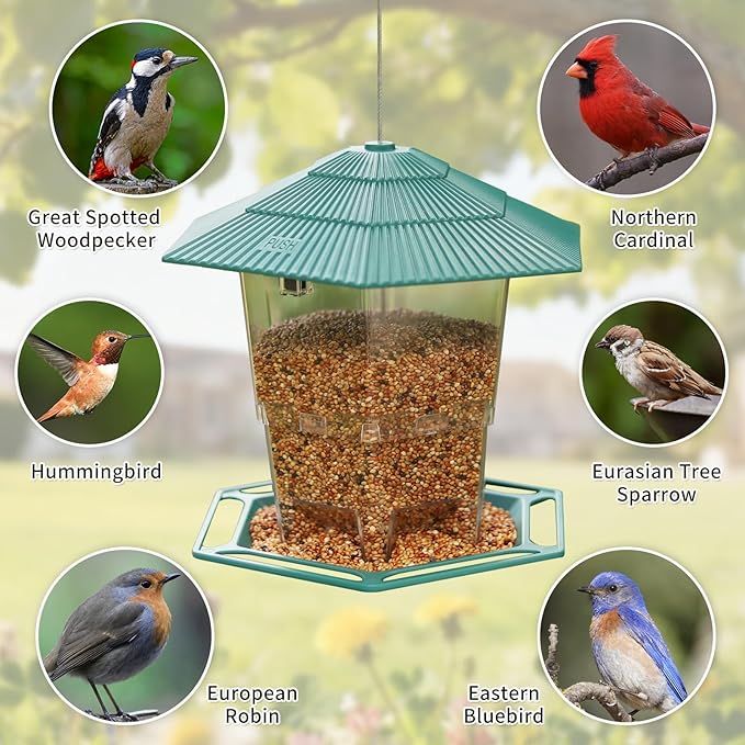 Bird Feeder for Outdoors Hanging,Green Hanging Wild Bird Feeders with S Hook for Blue Bird, Cardinals, Finches,Wild Birds Seed Feeder, As Gift for Bird Lovers