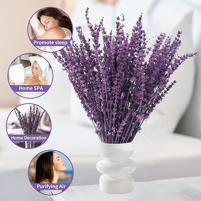 Dried Preserved Lavender Flowers Bundle-Natural Dried Lavender Bouquet 180-200 Stems 15''-17" for Wedding Home Shower Vase Decor, Aromatherapy, Fragrance, Fresh, Dry, 2 Packs