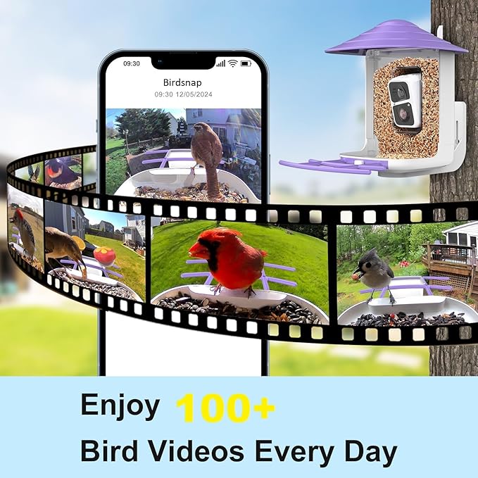 birdsnap® TUC Bird Feeder with Camera 2K HD, Solar Panel 32GB Card 4-in-1 Perch, 160°View Auto Detect & Notify AI Identify Video Bird Camera Wireless Outdoors Ideal Gift for Birds Lover