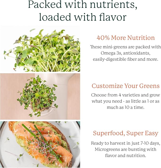 GARDYN Complete Microgreens Growing Kit - Indoor Herb Garden - Indoor Hydroponics Growing System Kit Nursery Seed Starter Tray, 20 Seed Pads, Bamboo Wicks,10 Grow Plates