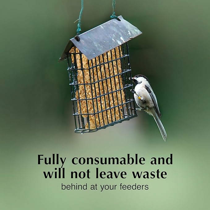 C&S Pecan Delight No Melt Suet Dough 11.75 Ounces 8 Pack