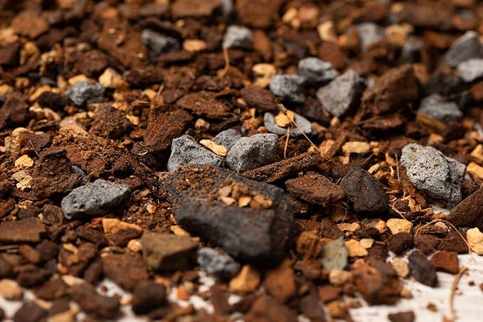 rePotme Pothos/Ivy Potting Soil for Indoor Plants - Imperial Houseplant Potting Soil Mix - Standard Bag (8 Quarts)