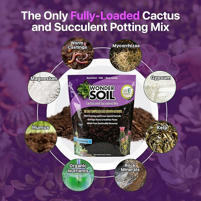 WONDER SOIL | Organic Cactus & Succulent Soil Mix (12 Quarts) | Fast Draining Living Coco Coir Loaded w/Nutrients | Ready to Plant Indoor/Outdoor Peat-Free Potting Soil | 3 LB Expands to 12 Quarts