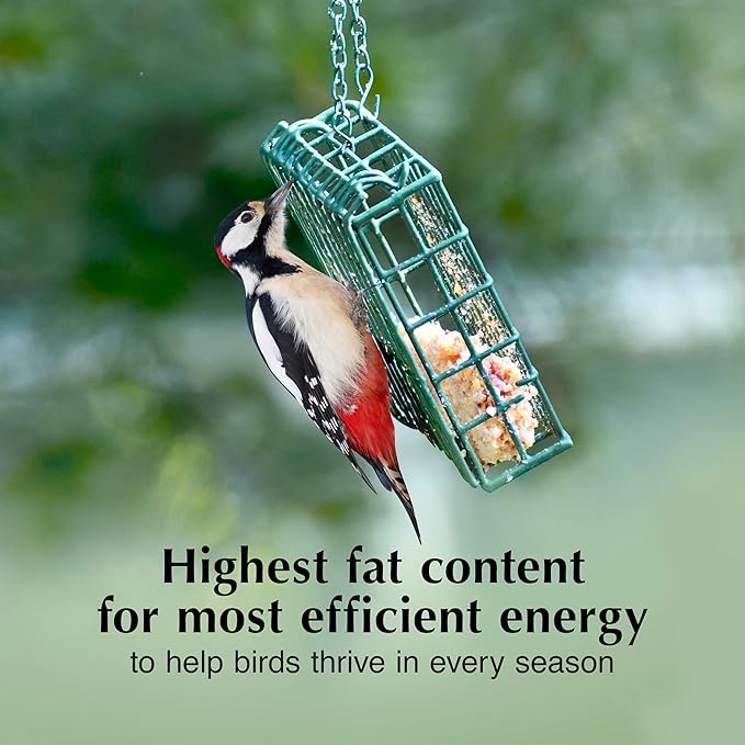 C&S Peanut Butter Delight 581 8/11.75OZ