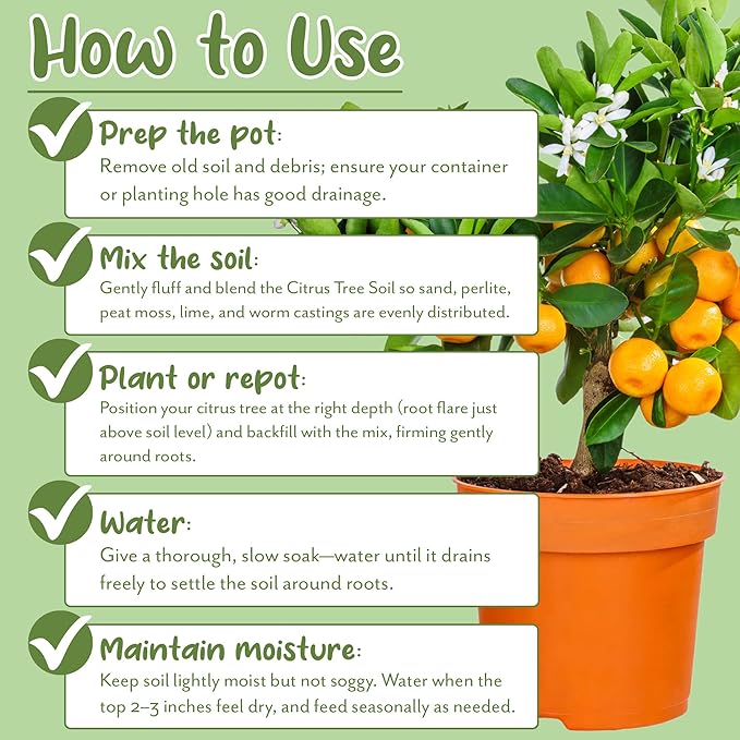 Soil Sunrise Citrus Tree Potting Soil Mix (8 Quarts) Special Blend for Indoor Oranges, Lemons, Limes and More