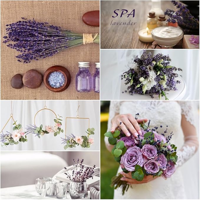 4 Packs Dried Preserved Lavender Flowers Bundle, Natural Purple Dried Lavender Bouquet 15''-17" for Crafts Shower Weeding Home Vase Decor, Aromatherapy, Fragrance, Dry Live Plants (Purple-4.23oz)