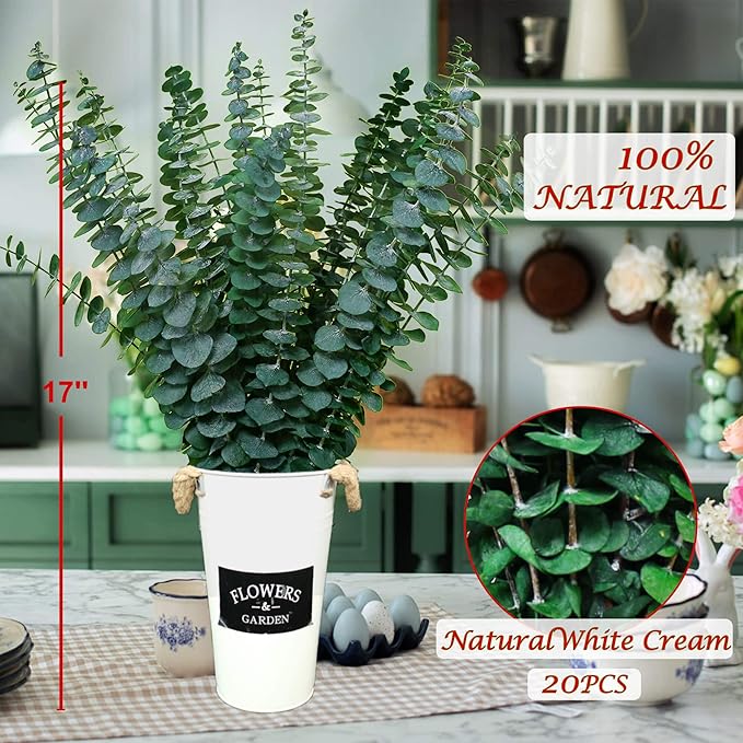 20 PCS Dried Preserved Eucalyptus for Shower, 17" Real Natural Fresh Hanging Eucalyptus Stems,Real Leaves Branches for Vase Filler,Bathroom,Wedding,Dried Flowers Arrangement Decor