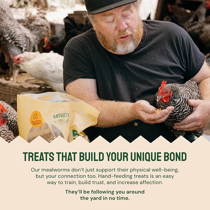 Hatortempt Dried Mealworms - 5 Lb, Non-GMO & Organic - High-Protein Mealworms for Wild Birds & Ducks, Chicken & Bird Food