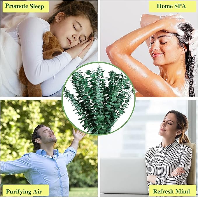 10Pcs Dried Eucalyptus Stems for Shower 17" Real Natural Hanging Eucalyptus Stems, Real Fresh Leaves Branches for Vase Filler, Wedding, Bathroom Decor, Home Decor, Dried Flowers Arrangement Decor