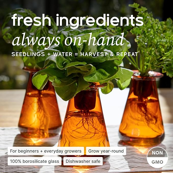 Counterstand Set – Vase Plant for Indoor Edible Garden Kit for Herbs & Lettuce – Small-Space Hydroponic System – Home Decor & Gifting – No Glow Lamp