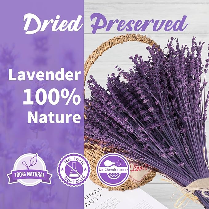 4 Packs Dried Preserved Lavender Flowers Bundle, Natural Purple Dried Lavender Bouquet 15''-17" for Crafts Shower Weeding Home Vase Decor, Aromatherapy, Fragrance, Dry Live Plants (Purple-4.23oz)