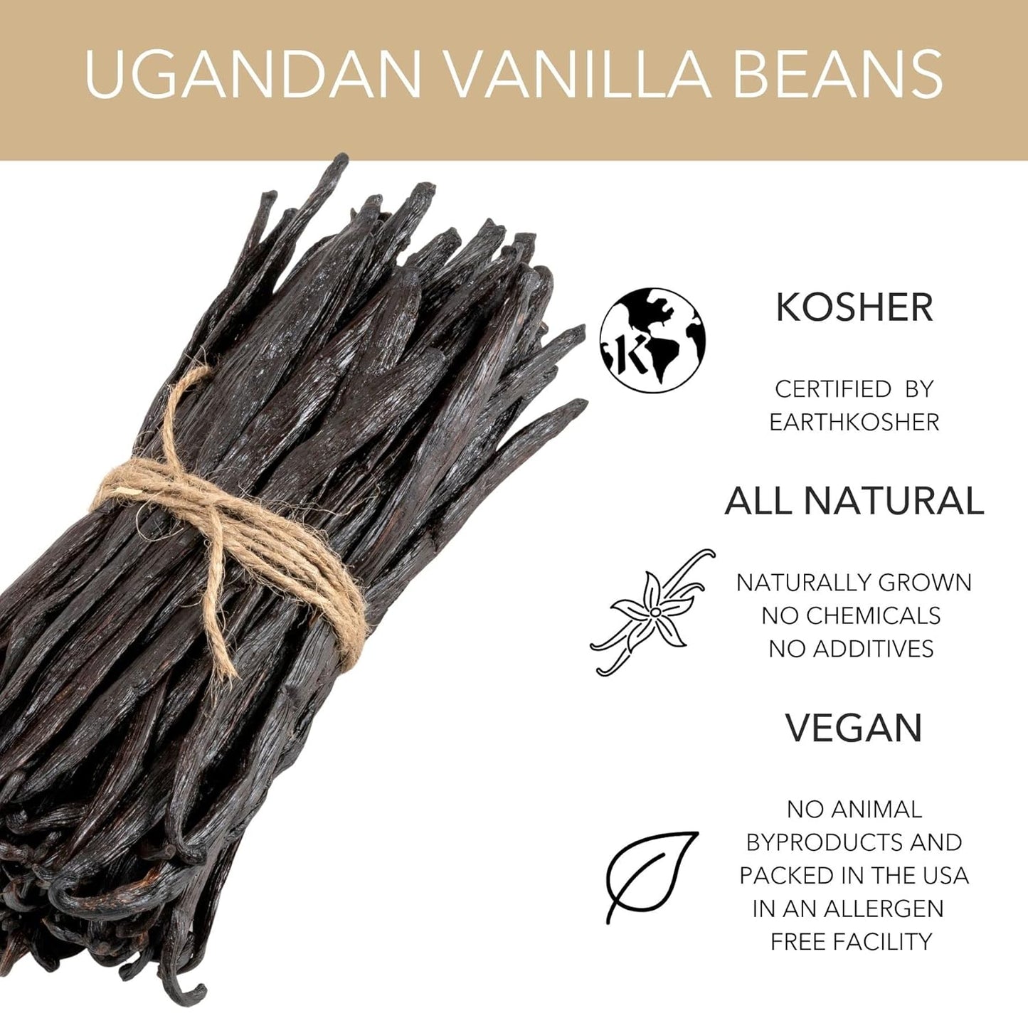 Slofoodgroup Gourmet Vanilla Beans, 25 Grade A Ugandan Vanilla Beans For Cooking, Baking and Homemade Extract