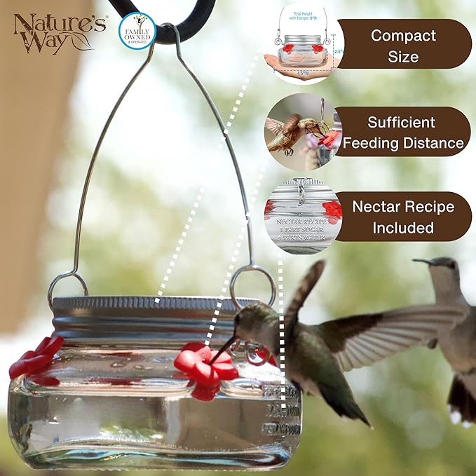 Nature's Way Bird Products MJF1 Nature's Way Mason Jar Hummingbird Dish Feeder, Clear