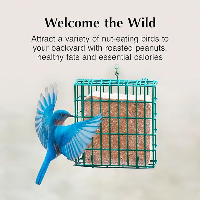 C&S Peanut Butter Delight 581 8/11.75OZ