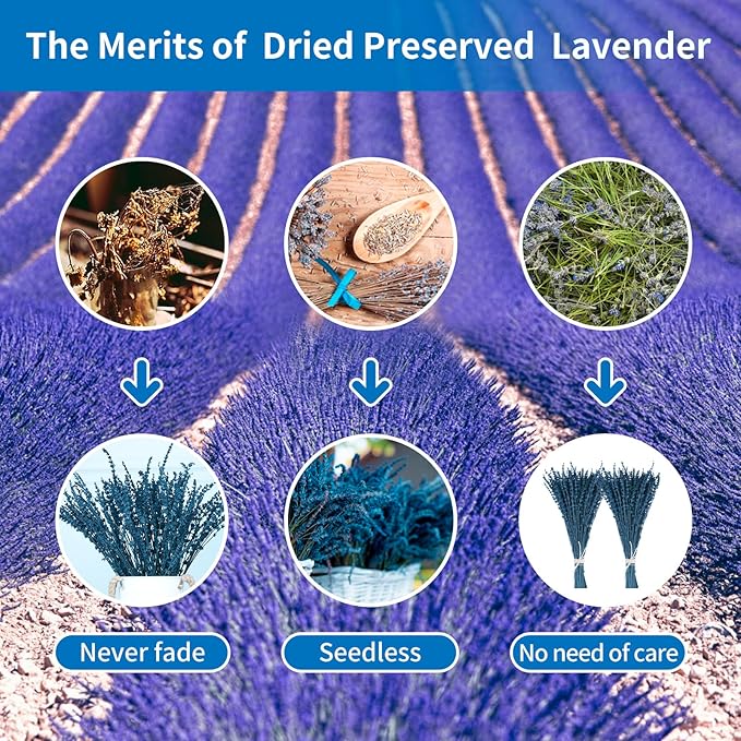 4 Packs Dried Preserved Lavender Flowers Bundle, Natural Dried Lavender Bouquet 15-17" for Crafts, Shower, Weeding and Home Decor, Aromatherapy, Fragrance, Fresh, Dry Live Plants (Blue-4.23oz)
