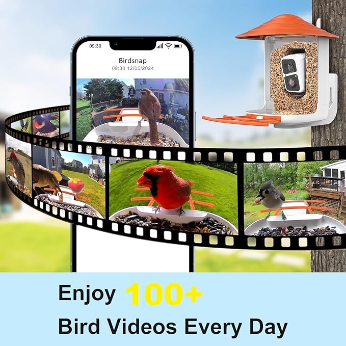 birdsnap® TUC Smart Bird Feeder with Camera 2K HD, Solar Panel 32GB Card 4-in-1 Perch, 160°View Auto Detect & Notify AI Identify Video Bird Camera Wireless Outdoors Ideal Gift for Birds Lover