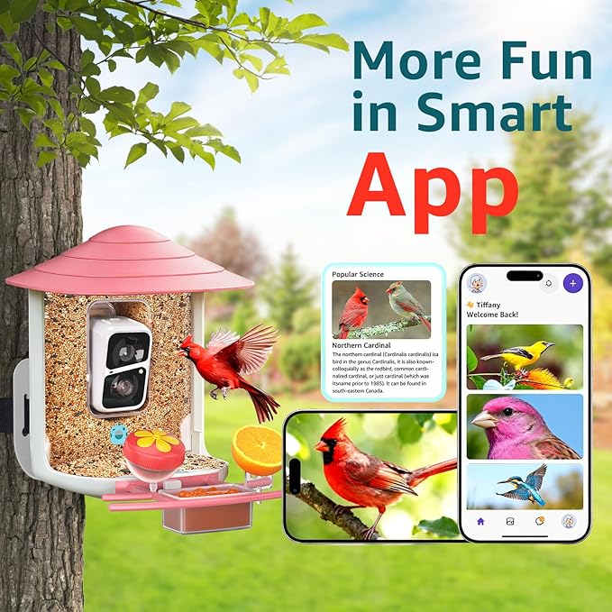 birdsnap® TUC Bird Feeder with Camera 2K HD, Solar Panel 32GB Card 4-in-1 Perch, 160°View Auto Detect & Notify AI Identify Video Bird Camera Wireless Outdoors Ideal Gift for Birds Lover