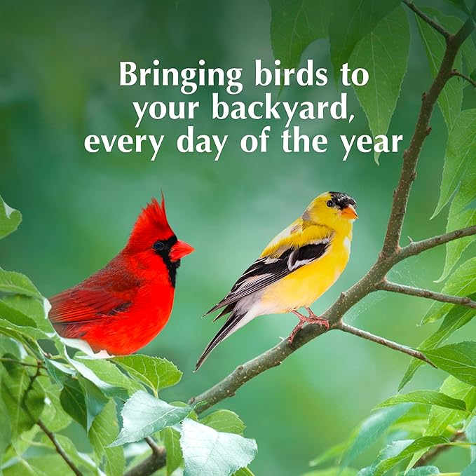 C&S Pecan Delight No Melt Suet Dough 11.75 Ounces 8 Pack