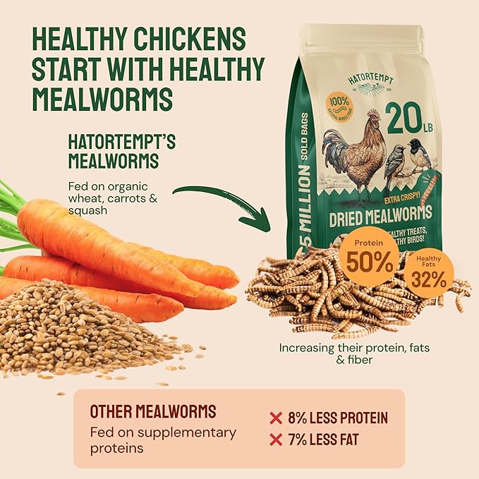 Hatortempt Dried Mealworm Bird Food - 20 Lb Bulk Pack - High Protein Poultry & Chicken Feed - Duck Food & Wild Bird Feed & Quail Treats