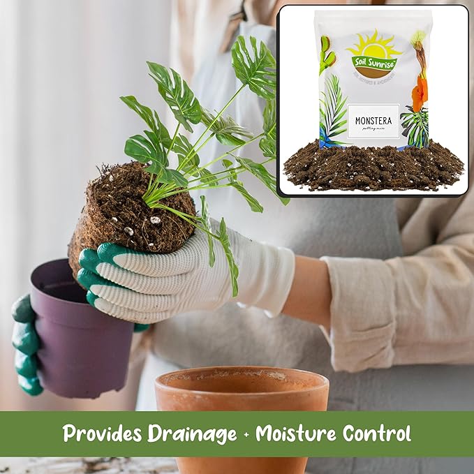 Soil Sunrise Monstera Houseplant Potting Soil Mix (4 Quarts) Custom Blend for Growing and Repotting