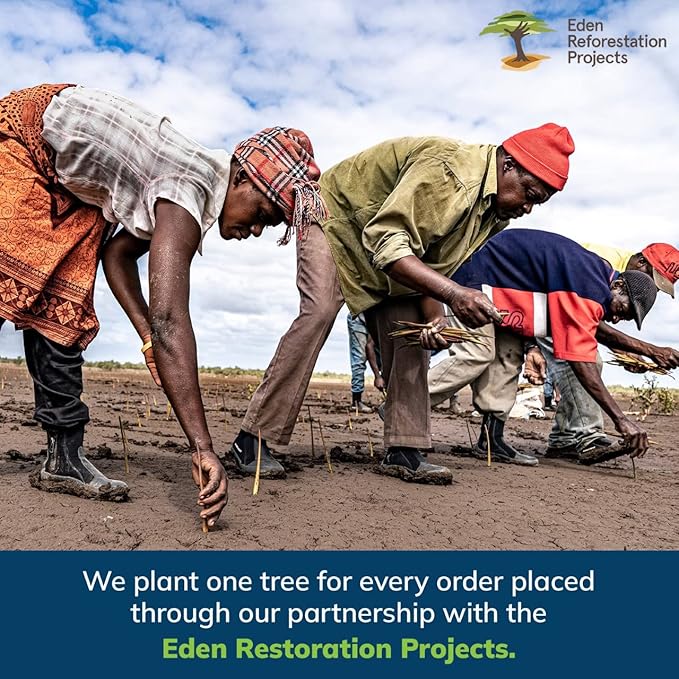 EVERSPROUT Twist-On Cobweb Duster | Hand Packaged to Protect Bristles | Indoor & Outdoor Brush Attachment | Fits Standard Acme Threaded Poles | Brush Head with Handle, No Pole (Medium-Stiff Bristles)