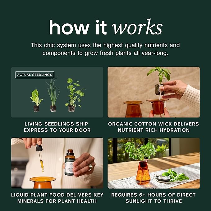 Counterstand Set – Vase Plant for Indoor Edible Garden Kit for Herbs & Lettuce – Small-Space Hydroponic System – Home Decor & Gifting – No Glow Lamp