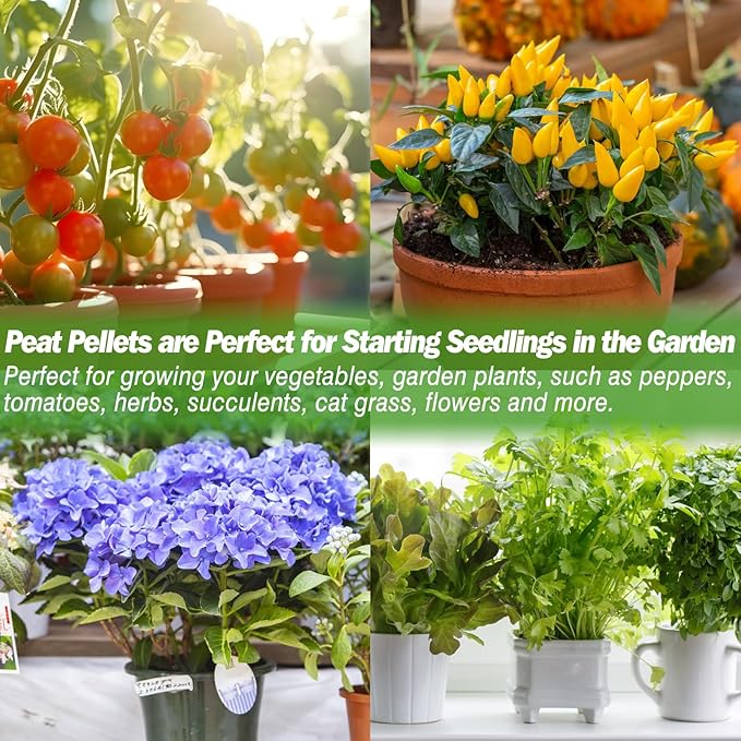 ZeeDix 100 Pcs (36mm) Peat Pellets for Seedlings, Compressed Seed Starting Plugs Pallet Potting Soil Block, Seed Starter Pellets Soil Pods for Planting Flowers, Herbs and Vegetables