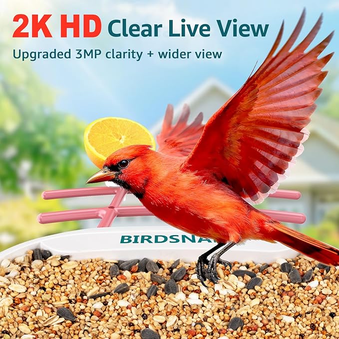 birdsnap® TUC Bird Feeder with Camera 2K HD, Solar Panel 32GB Card 4-in-1 Perch, 160°View Auto Detect & Notify AI Identify Video Bird Camera Wireless Outdoors Ideal Gift for Birds Lover