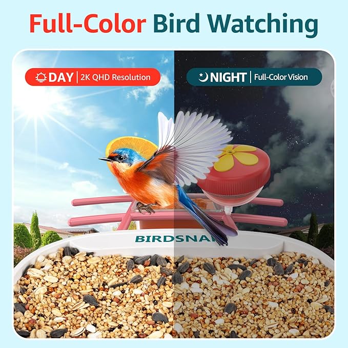 birdsnap® TUC Bird Feeder with Camera 2K HD, Solar Panel 32GB Card 4-in-1 Perch, 160°View Auto Detect & Notify AI Identify Video Bird Camera Wireless Outdoors Ideal Gift for Birds Lover