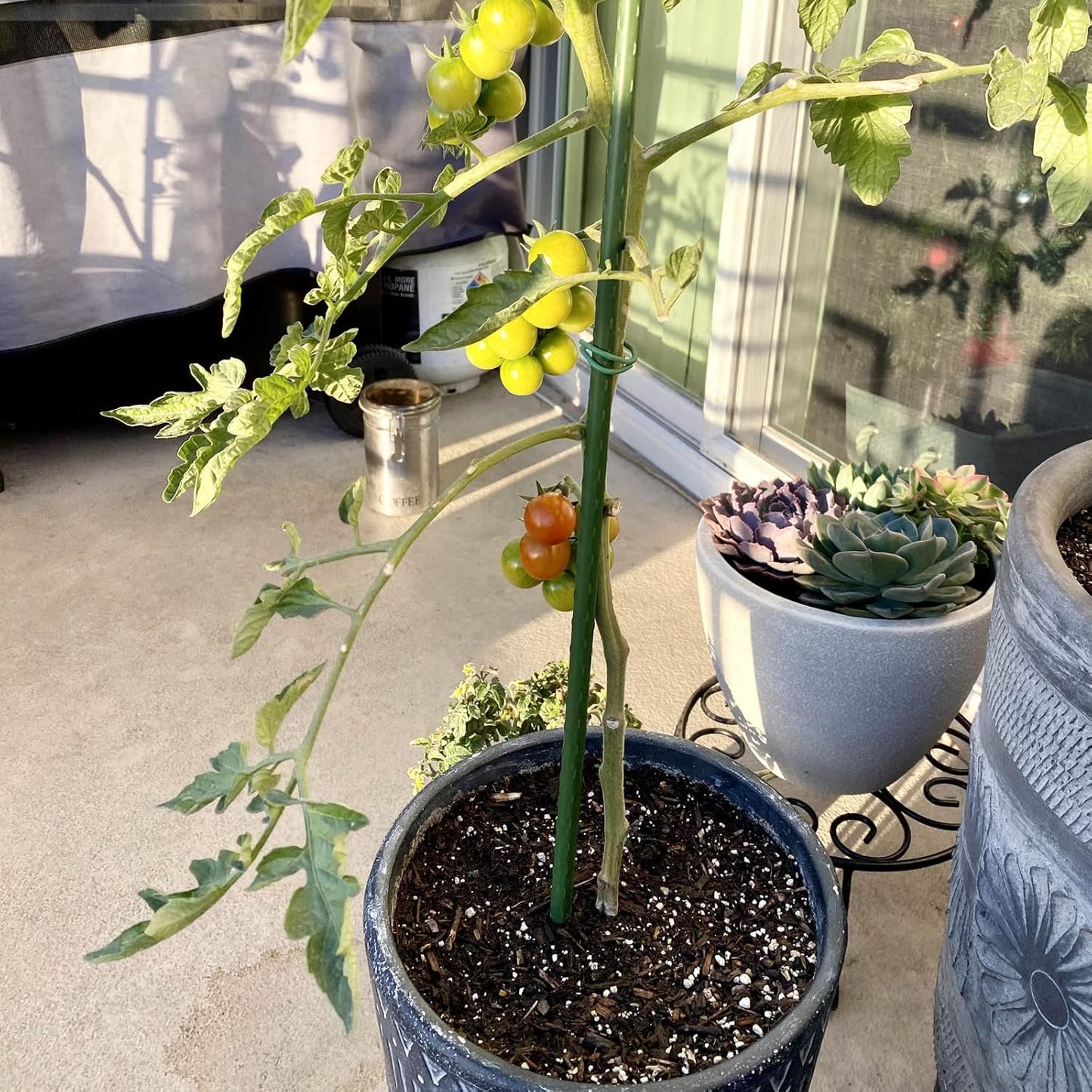 Garmeinea Garden Stakes 36 Inches Plastic Coated Steel Plant Stakes for Growing Climbing Plants, Pack of 25