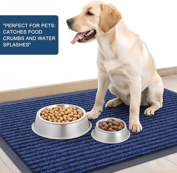 OLANLY Front Door Mat Indoor Outdoor Entrance, Waterproof Heavy Duty Doormat, Fade Resistant, Low Profile, Easy Clean Patio Porch Welcome Floor Mats for Entry, 47x30, Blue