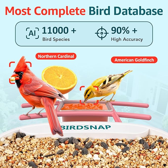 birdsnap® TUC Bird Feeder with Camera 2K HD, Solar Panel 32GB Card 4-in-1 Perch, 160°View Auto Detect & Notify AI Identify Video Bird Camera Wireless Outdoors Ideal Gift for Birds Lover