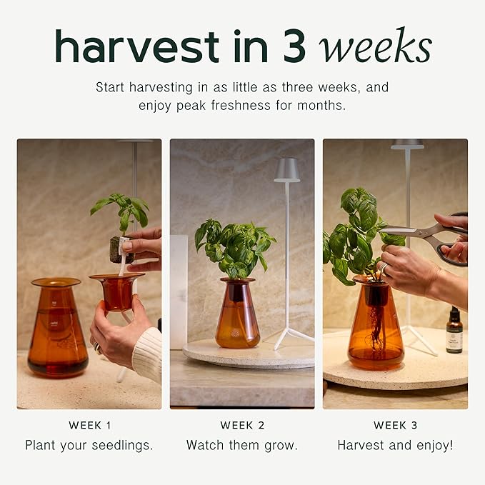 Counterstand Set – Vase Plant for Indoor Edible Garden Kit for Herbs & Lettuce – Small-Space Hydroponic System – Home Decor & Gifting – No Glow Lamp