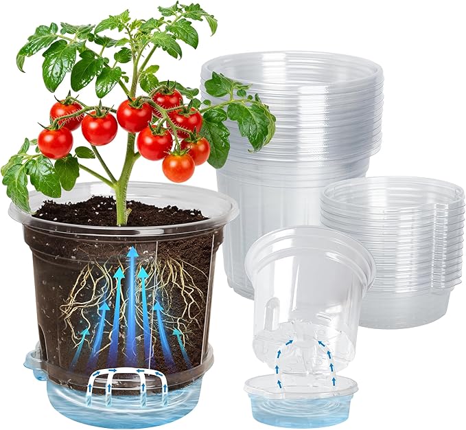 12 Pack 6.5 Inch Clear Self Watering Plant Pots with Bottom Water Tray & Watering Rope, Transparent Nursery Pots with Drainage for Seedlings, Herbs, and Houseplants