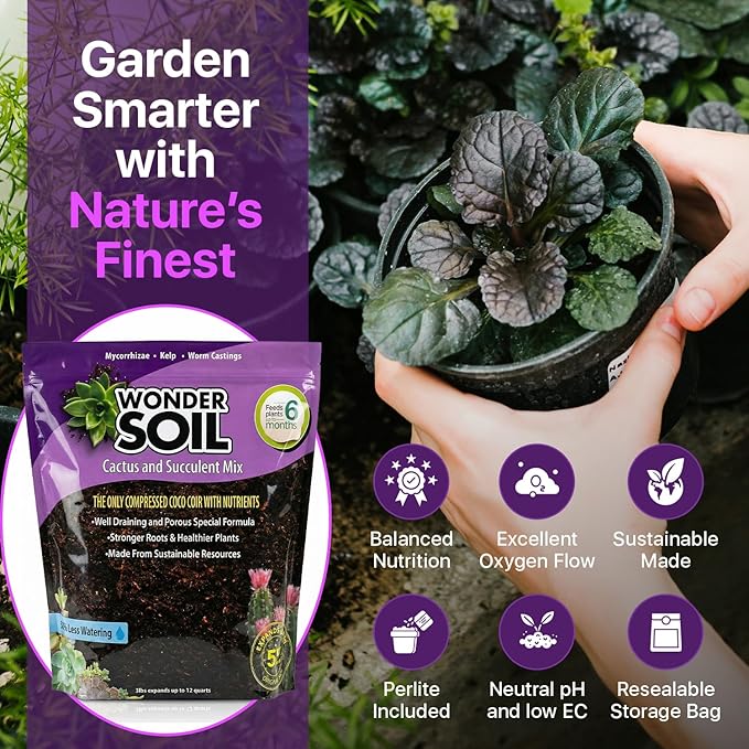 WONDER SOIL | Organic Cactus & Succulent Soil Mix (12 Quarts) | Fast Draining Living Coco Coir Loaded w/Nutrients | Ready to Plant Indoor/Outdoor Peat-Free Potting Soil | 3 LB Expands to 12 Quarts