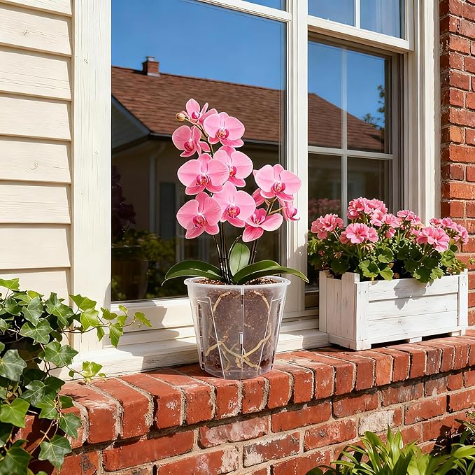 5 Inch Side-Open Orchid Pots 12 Pack, Clear Plastic Nursery Planters with Detachable Side Walls for Easy Repotting, Breathable Slotted Flower Pots with Drainage for Root Health