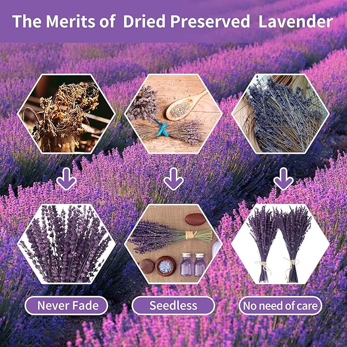 Dried Preserved Lavender Flowers Bundle-Natural Dried Lavender Bouquet 180-200 Stems 15''-17" for Wedding Home Shower Vase Decor, Aromatherapy, Fragrance, Fresh, Dry, 2 Packs