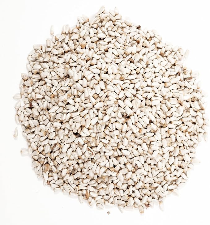 Wagner's 57075 Safflower Seed Wild Bird Food, 5 Pound (Pack of 1)