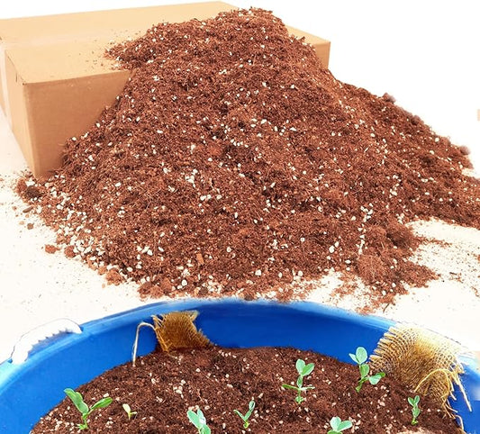 9QT Potting Soil Mix for Indoor Plants - Contains Perlite, Peat Moss, Coco Coir & Rice Charcoal, Natural & Organic Material with Well-Draining, Light & Aerated Texture for Healthy Roots & Fast Growth