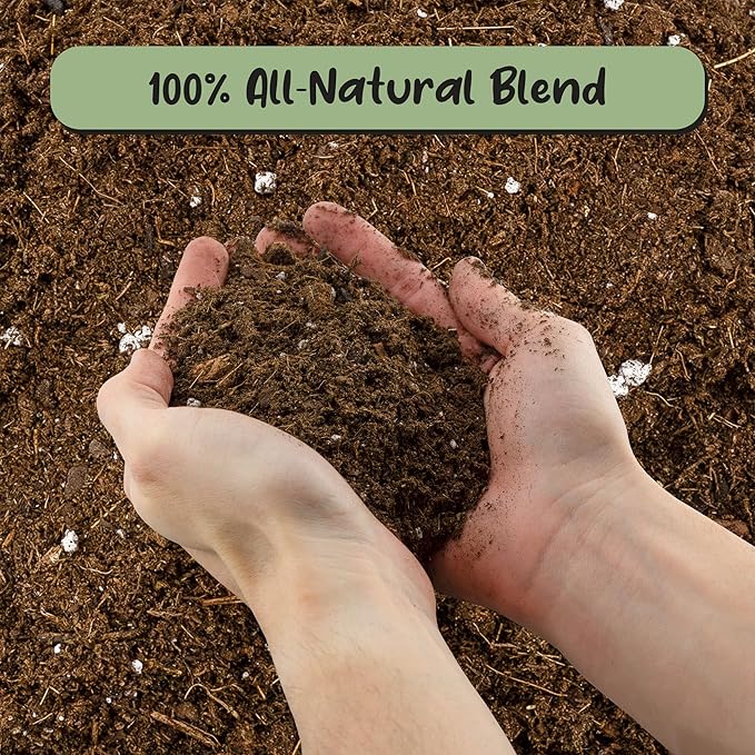 Soil Sunrise Monstera Houseplant Potting Soil Mix (8 Quarts) Custom Blend for Growing and Repotting