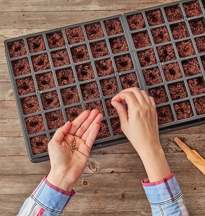 Burpee Self-Watering Seed Starter Tray, 72 Cells