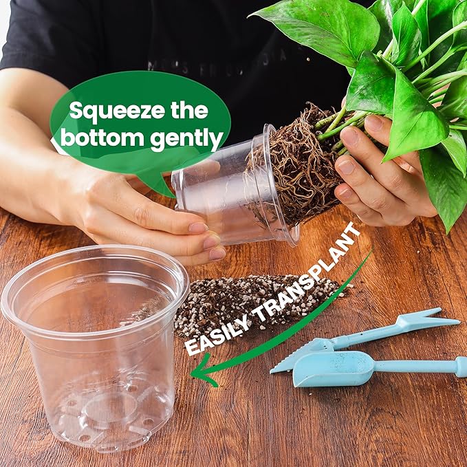 16 Pack 10/8/6/5 Inch Reinforced Large Clear Nursery Pots with Drainage Holes, Transparent Variety Pack Plastic Plant Pot for Vegetable Propagation, Root Cutting, Seed Starting