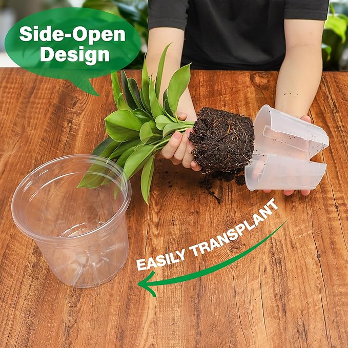5 Inch Side-Open Orchid Pots 12 Pack, Clear Plastic Nursery Planters with Detachable Side Walls for Easy Repotting, Breathable Slotted Flower Pots with Drainage for Root Health