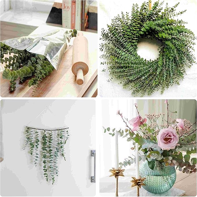 10Pcs Dried Eucalyptus Stems for Shower 17" Real Natural Hanging Eucalyptus Stems, Real Fresh Leaves Branches for Vase Filler, Wedding, Bathroom Decor, Home Decor, Dried Flowers Arrangement Decor