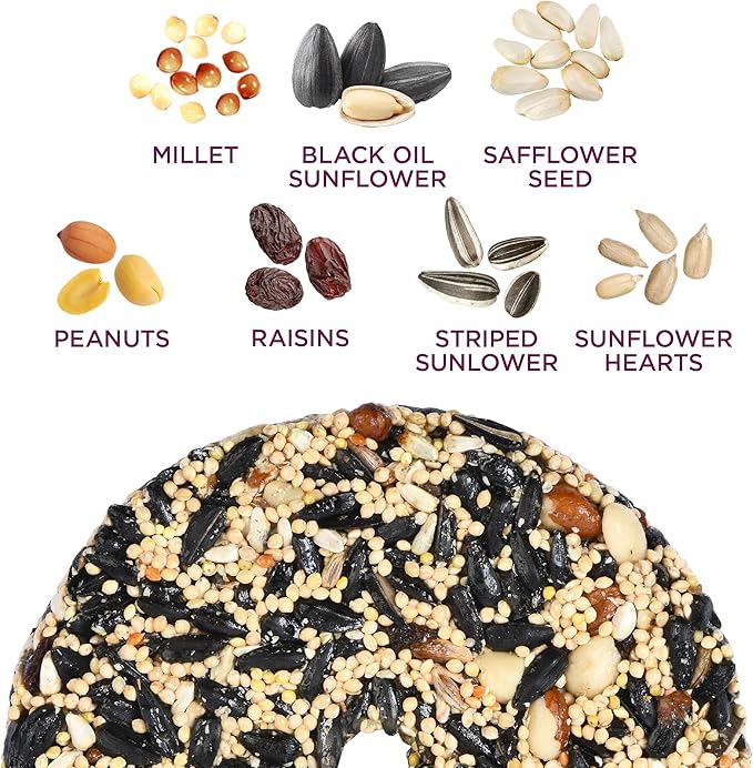 Audubon Park Nut & Fruit Snack Stack Wild Bird Food, Bird Seed Cake for Outside Feeders, 6-Pack