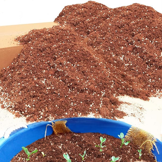 29QT Potting Soil Mix for Indoor Plants - Contains Perlite, Peat Moss, Coco Coir & Rice Charcoal, Natural & Organic Material with Well-Draining, Light & Aerated Texture for Healthy Roots & Fast Growth