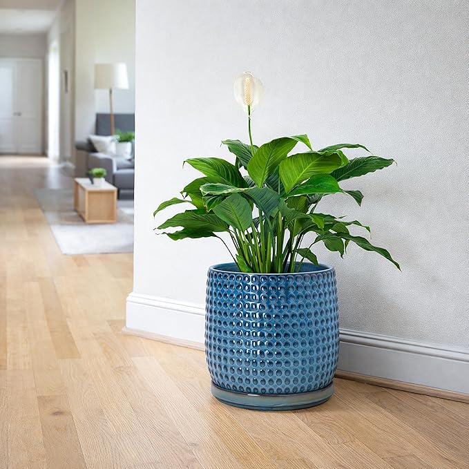 D'vine Dev 8 Inch Ceramic Beaded Stoneware Planter Pot - Flower Pot with Drainage Holes and Saucers for Indoor Succulent Plants or Flowers, Ocean Teal, 27-C-Q-8